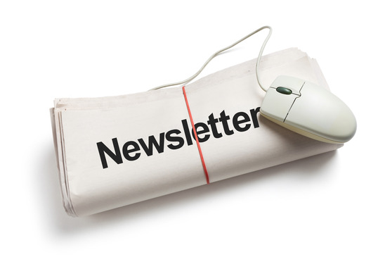 Newsletter - Subscription Business Model