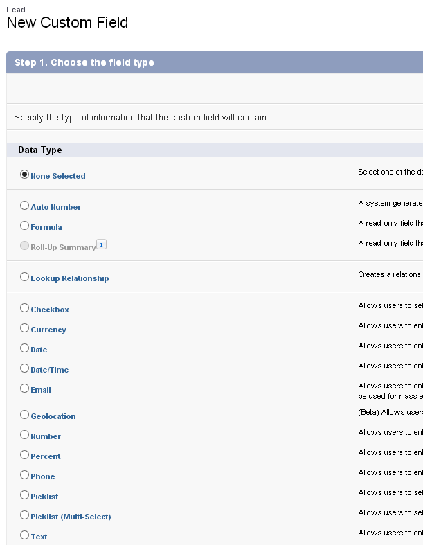 Custom Fields Salesforce