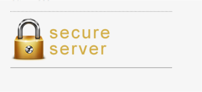 secure server