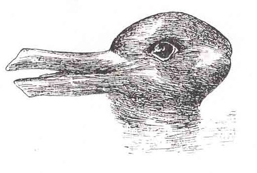 What do you see? A duck or a rabbit?