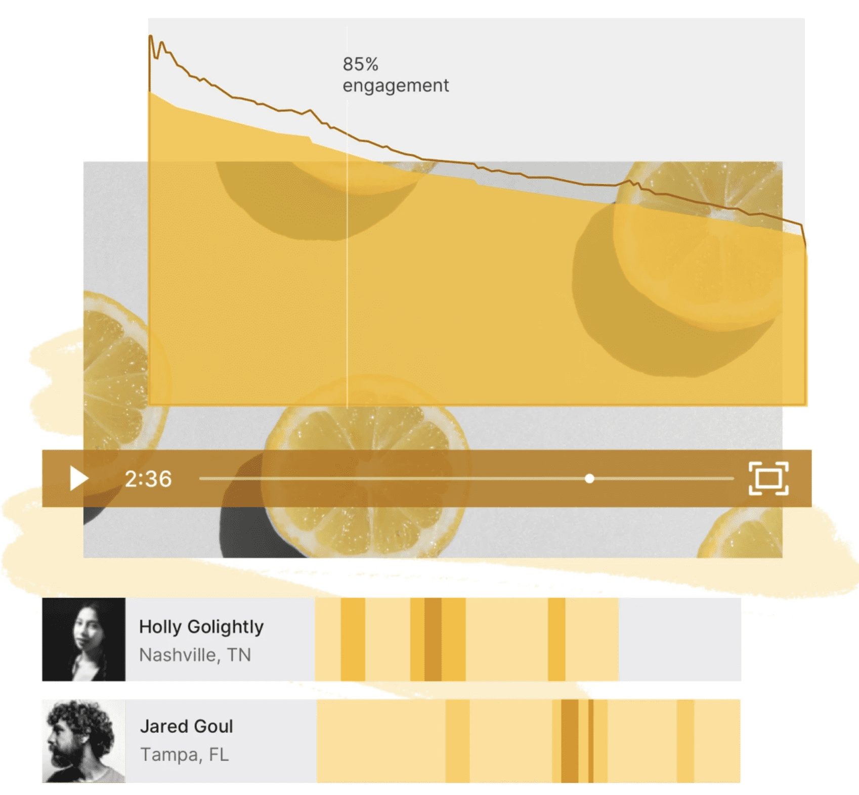 Wistia heatmaps