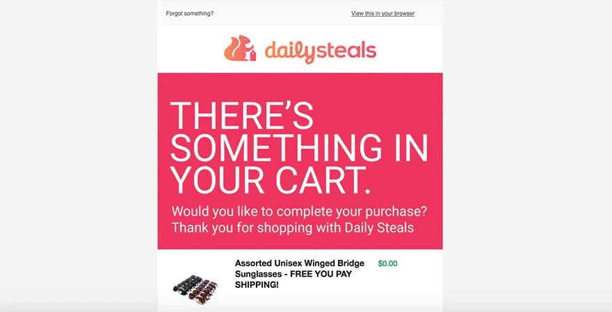 Example of abandoned cart email