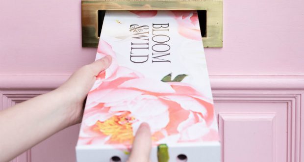 Bloom & Wild Box