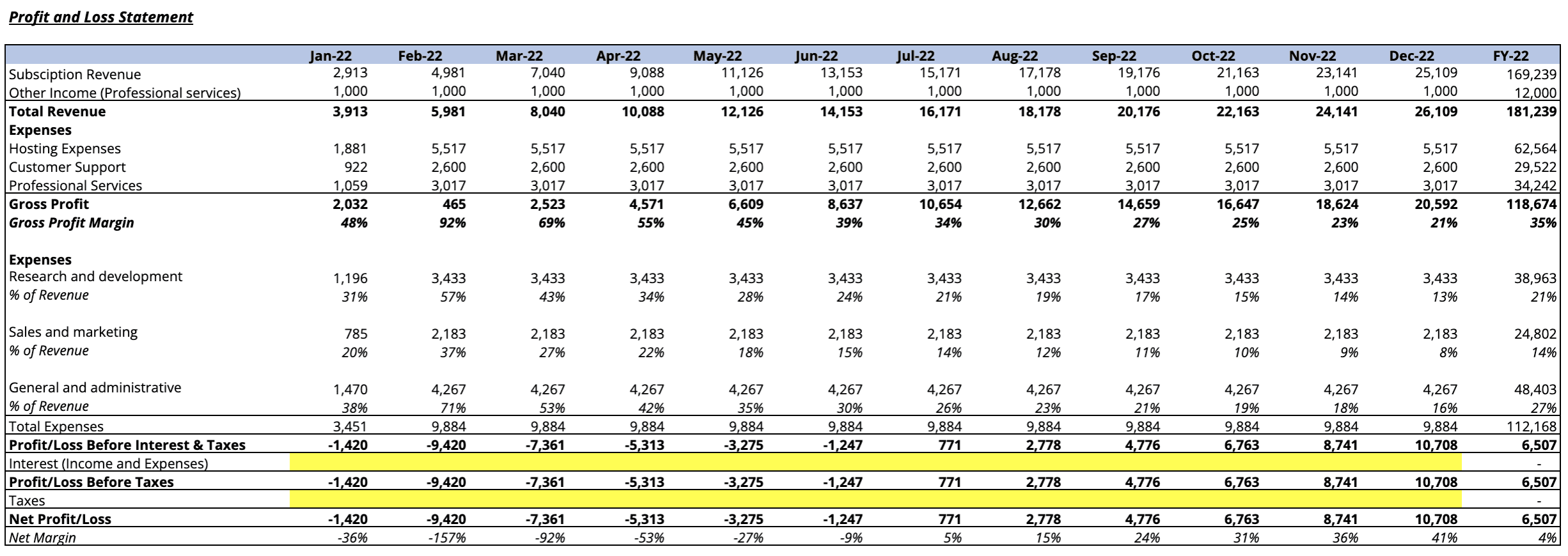 P&L statement on the SaaS financial model