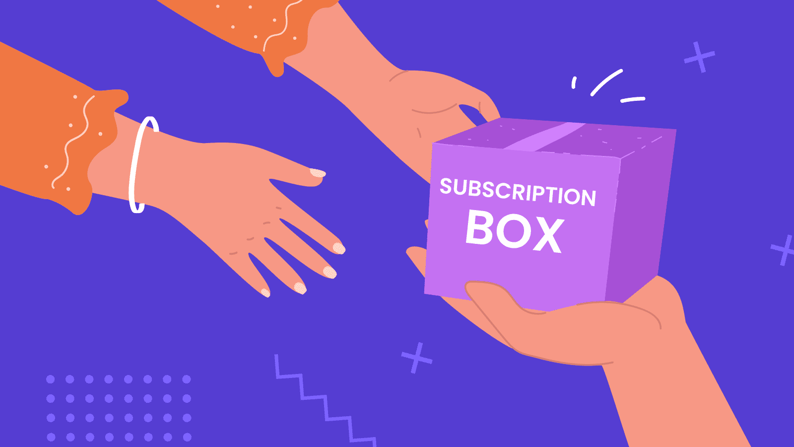 subscription box business plan example